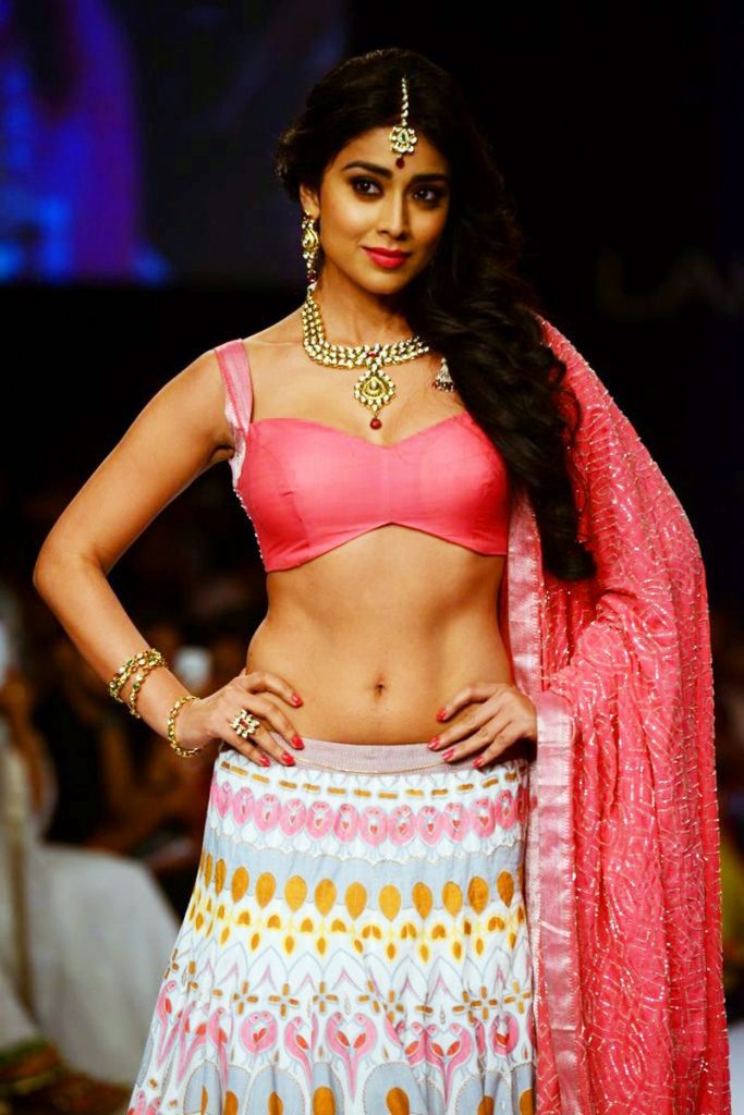 Hot Sexy Dress Still Of Shriya Saran