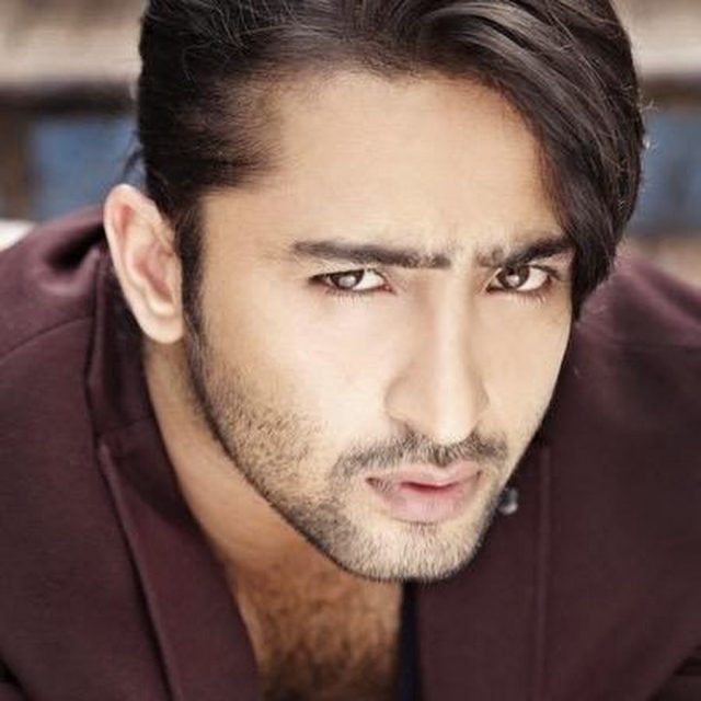 Hindi Serials Actor Shaheer Sheikh Latest Images Indiawords Com