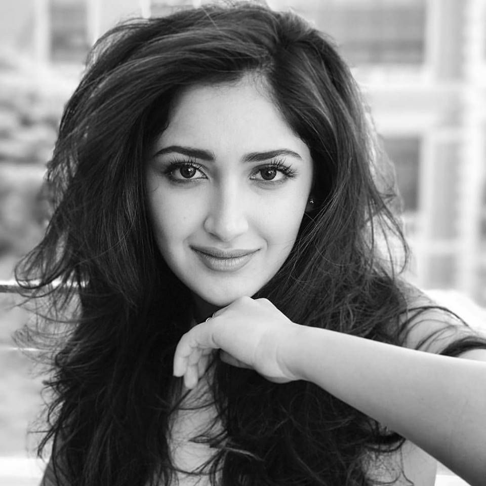 Sayesha Saigal New Hot Hd Wallpapers And Images Collections